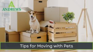 Tips for Moving with Pets